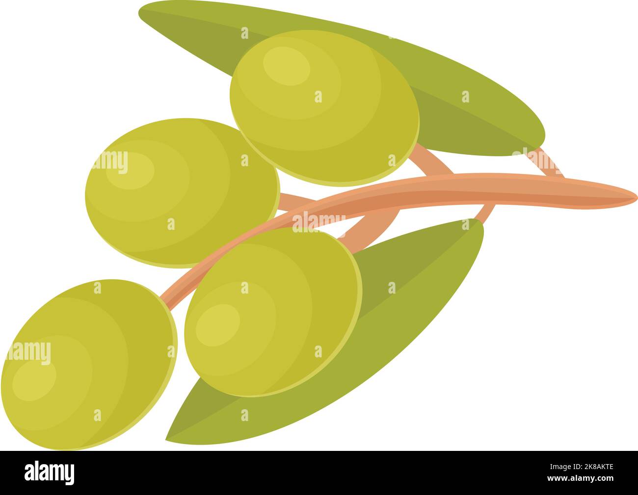 Green olives branch icon cartoon vector. Olive food. Plant extra Stock