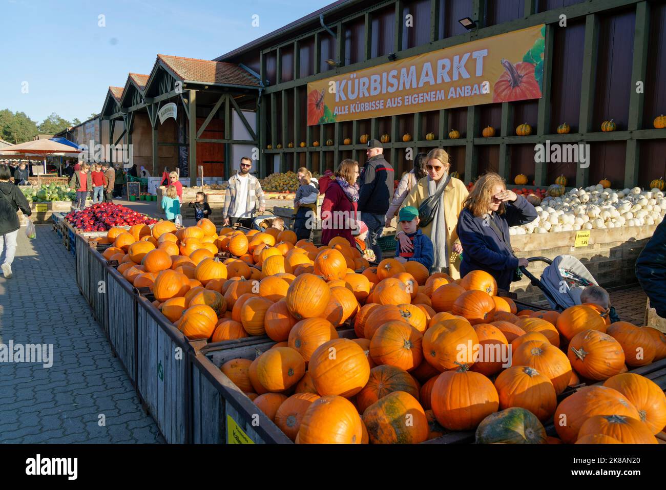 Kürbisausstellung auf dem Spargelhof Klaistow, Erlebnisbauerhof, Herbst