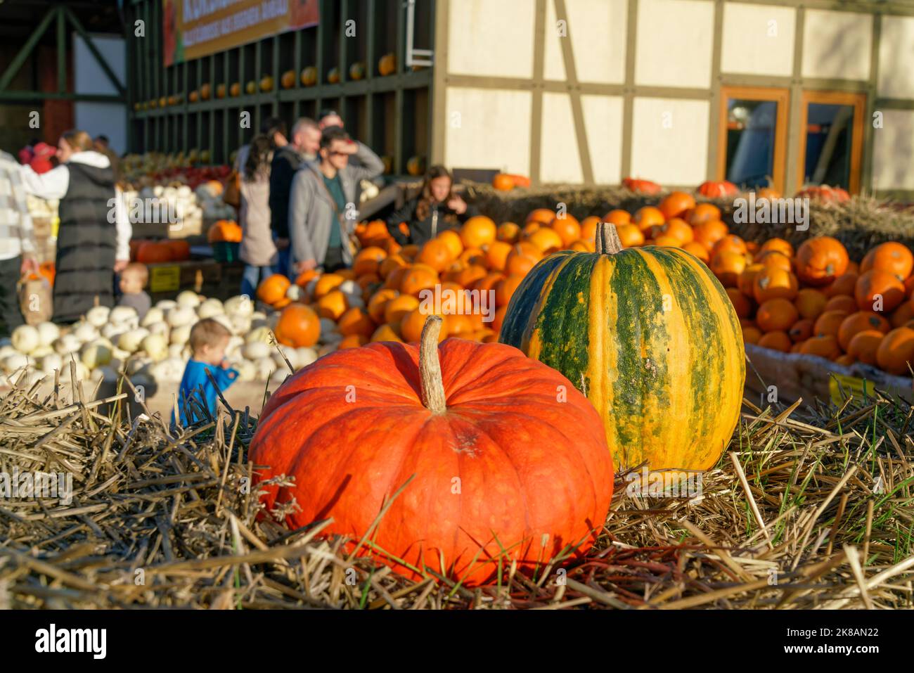 Kürbisausstellung auf dem Spargelhof Klaistow, Erlebnisbauerhof, Herbst