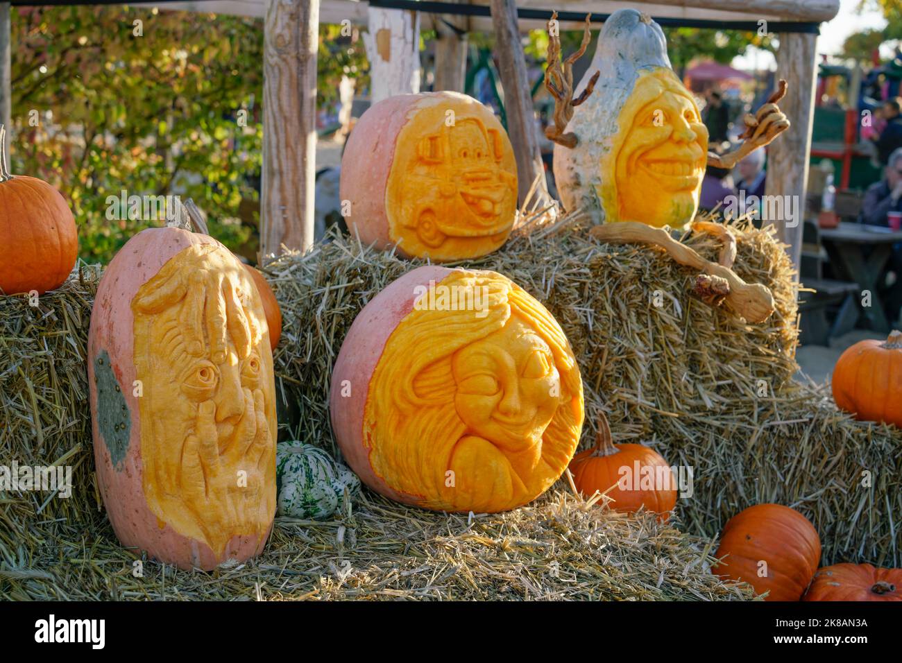 Kuerbisausstellung auf dem Spargelhof Klaistow | Pumkins Show Klaistow, Brandenburg Stock Photo