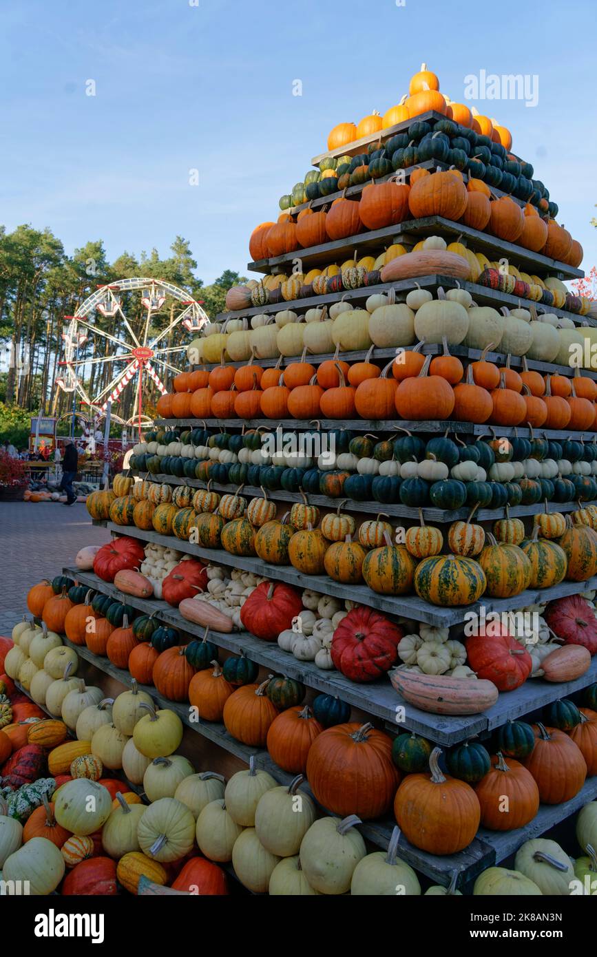 Kürbisausstellung auf dem Spargelhof Klaistow, Erlebnisbauerhof, Herbst
