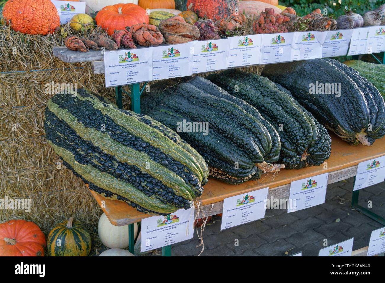 Herbstmarkt auf dem Spargelhof in Klaistow, Kürbismarkt, Bauernhof, Stock Photo