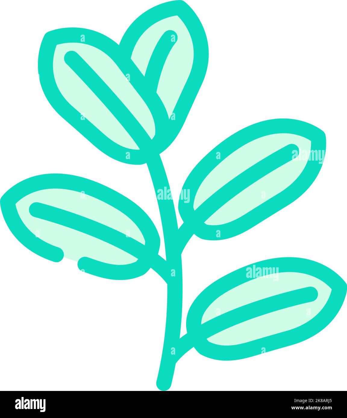 zamioculcas tropical leaf color icon vector illustration Stock Vector ...