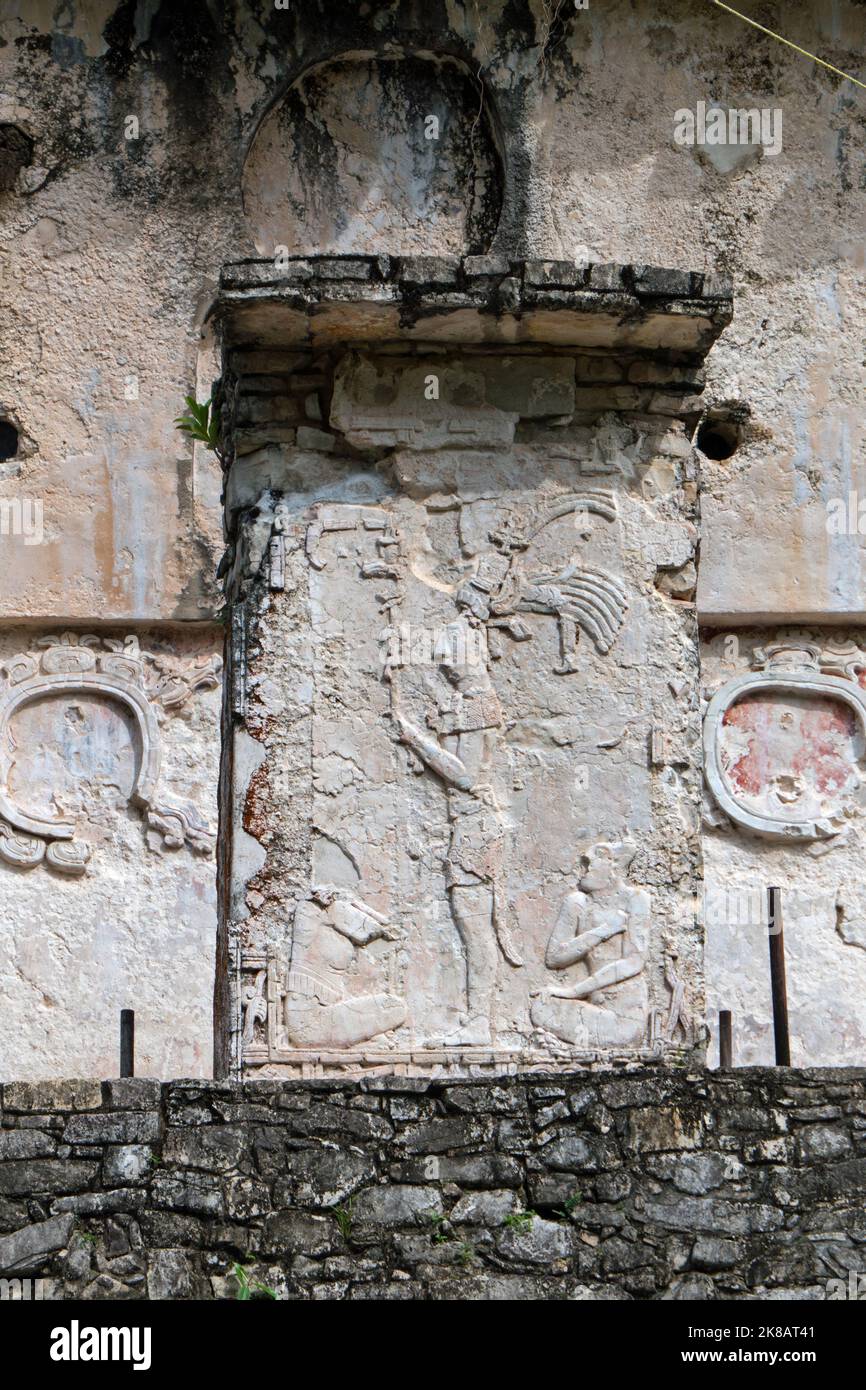 View of the Maya archeological site of Palenque in Chiapas, Mexico. Mayan ruins and bas-relief on wall at The Palace Stock Photo