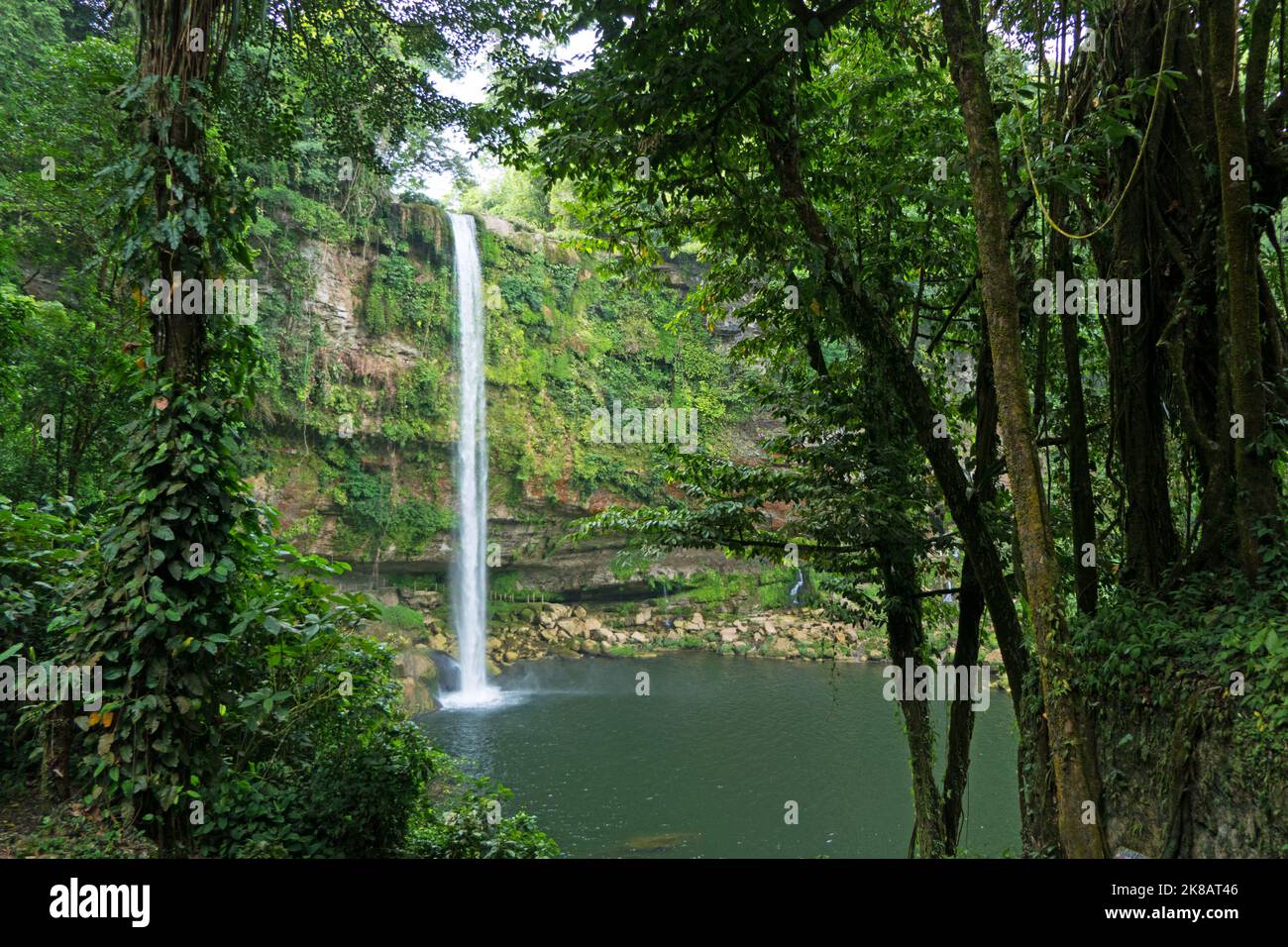View of Misol Ha waterfall in Chiapas, Mexico. Beautiful Mexican natural landscape with water fall and jungle Stock Photo