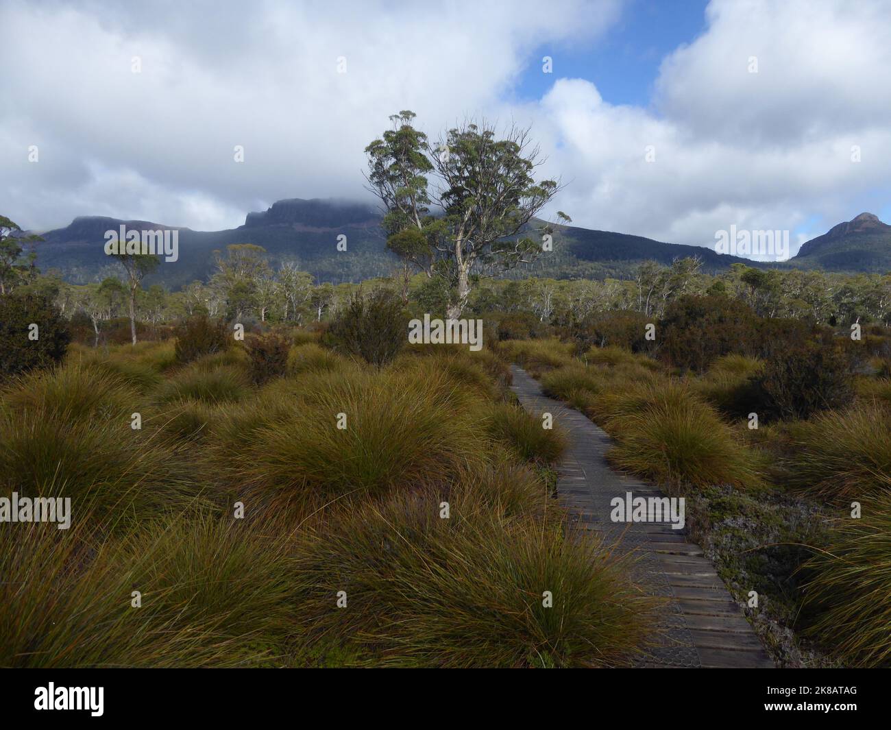 The Overland Track. Australian bushwalking track.Cradle Mountain-Lake ...