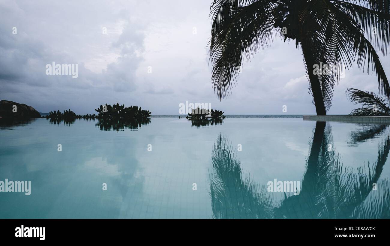 infinite View swimming pool with palm trees samui Thailand Stock Photo ...