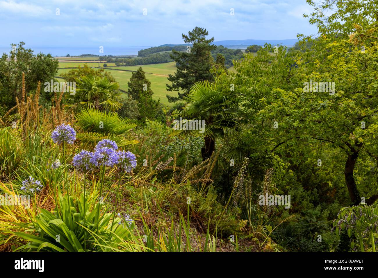 View from Dunster Castle subtropical garden with far reaching views of