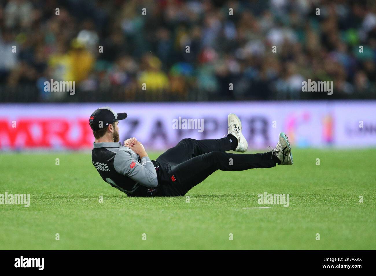 22nd October 2022; SCG, NSW, Australia: T20 World Cup Cricket, Australia versus New Zealand: Kane Williamson of New Zealand takes a catch and the wicket of Aaron Finch of Australia for 13 runs Credit: Action Plus Sports Images/Alamy Live News Stock Photo