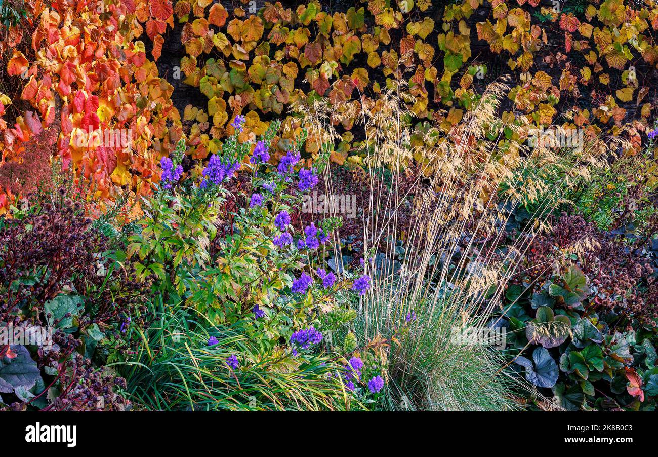 Autumn colour at Aberglasney Gardens Stock Photo