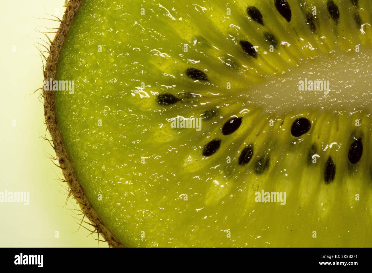 Slice of fresh juicy kiwi fruit close up, macro background.  Stock Photo