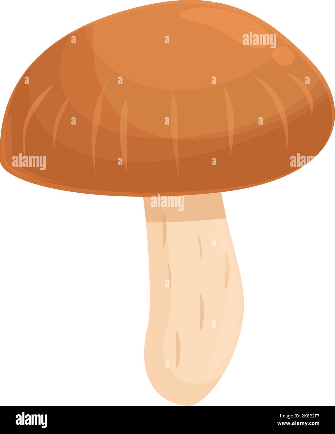 Chinese mushroom icon cartoon vector. Shiitake food. Truffle shitake Stock Vector