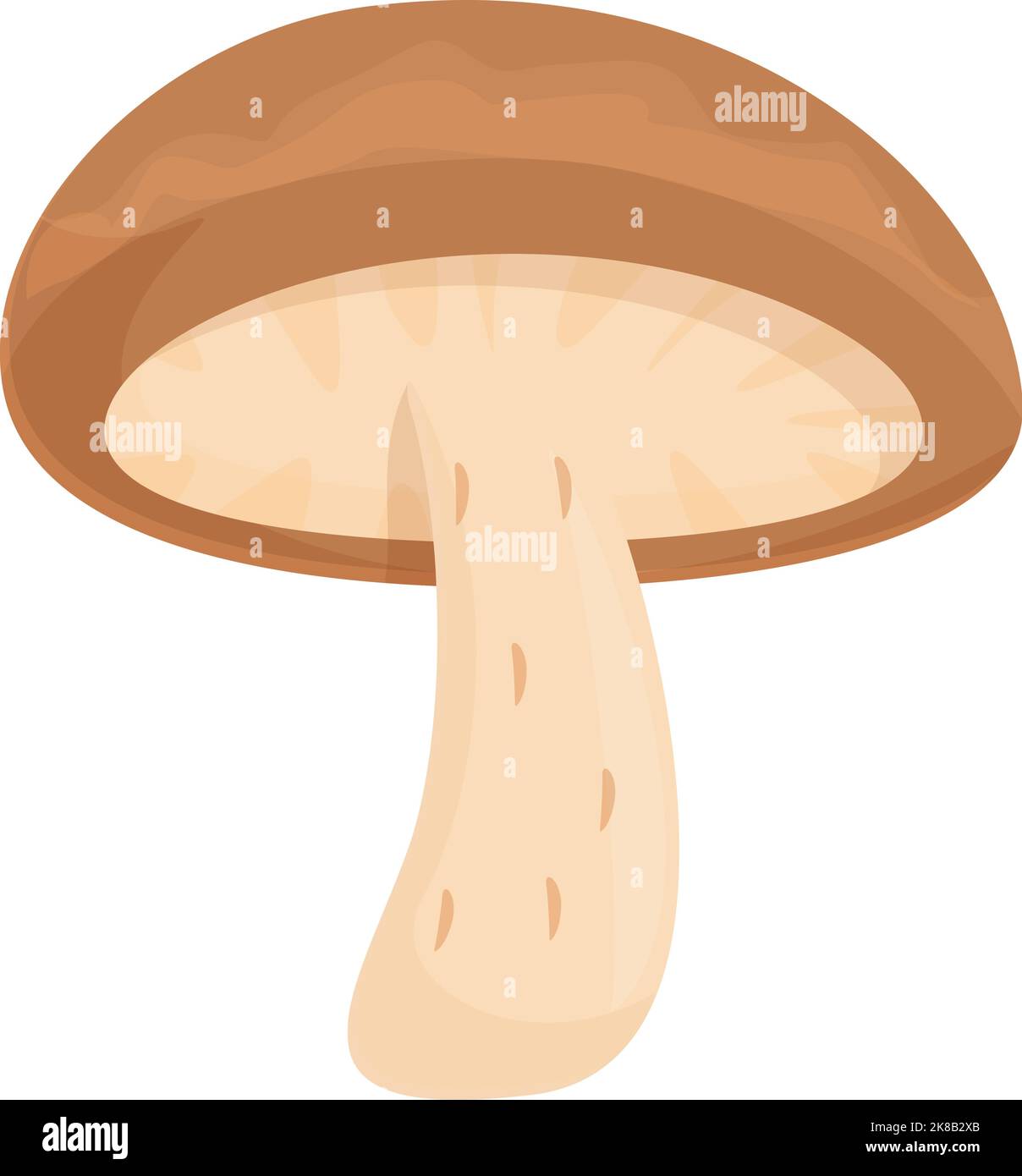 Organic shiitake icon cartoon vector. Mushroom food. Truffle shitake ...