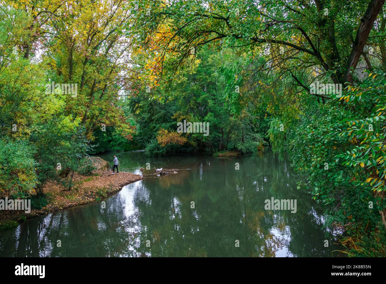 river-carrion-in-sotillo-park-and-huerta-del-obispo-in-palencia-spain