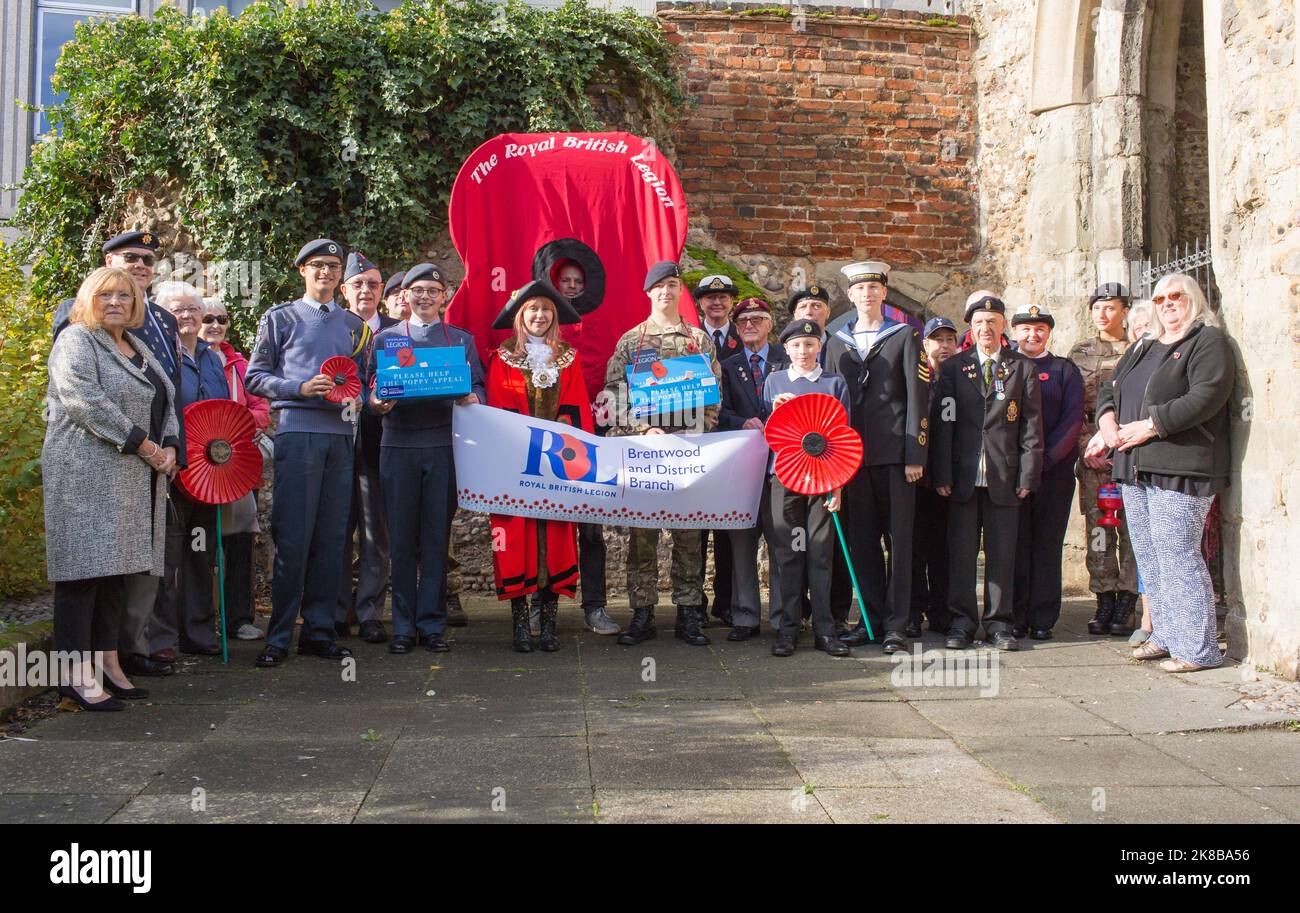 Brentwood Essex uk 2022 Poppy Appeal Launch Olivia Francois the mayor of Brentwood  with the royal british legion Stock Photo