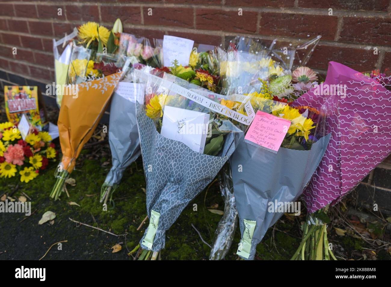 Washington Drive, Birmingham October 22nd 2022 A woman collapsed