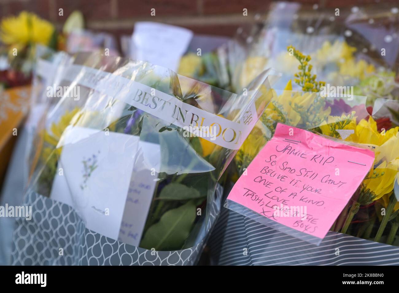Handsworth wood flowers hires stock photography and images Alamy