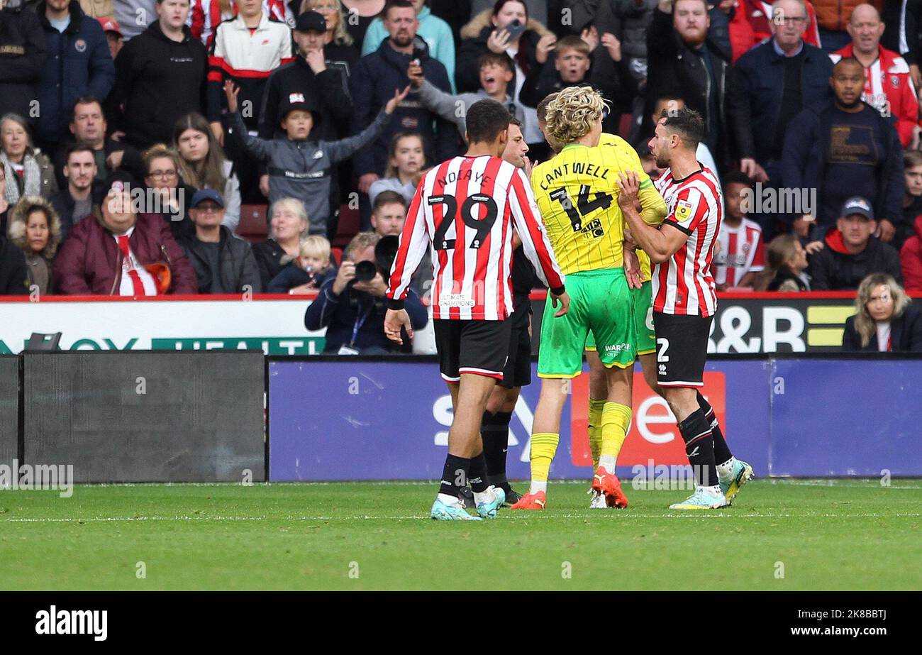 Sheffield, UK. 22nd Oct, 2022. Tempers flare during the Sky Bet Championship match between Sheffield United and Norwich City at Bramall Lane on October 22nd 2022 in Sheffield, England. (Photo by Mick Kearns/phcimages.com) Credit: PHC Images/Alamy Live News Stock Photo