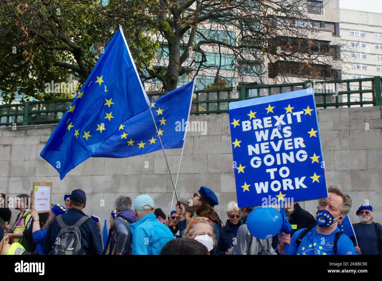 the first ever national rejoin the european union march in central london england UK 22nd october 2022 Stock Photo