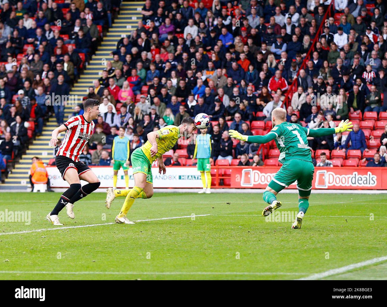 Sheffield, UK. 22nd Oct, 2022. Grant Hanley of Norwich City heads for goal during the Sky Bet Championship match between Sheffield United and Norwich City at Bramall Lane on October 22nd 2022 in Sheffield, England. (Photo by Mick Kearns/phcimages.com) Credit: PHC Images/Alamy Live News Stock Photo