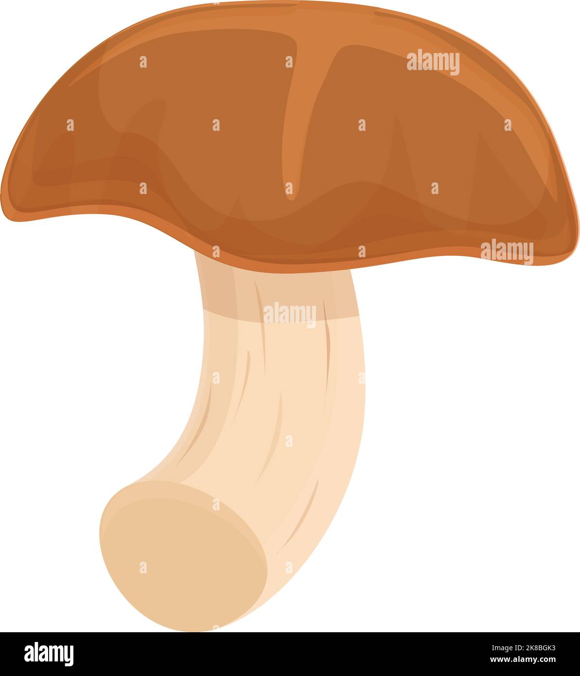 Forest shitake icon cartoon vector. Chinese mushroom. Autumn truffle