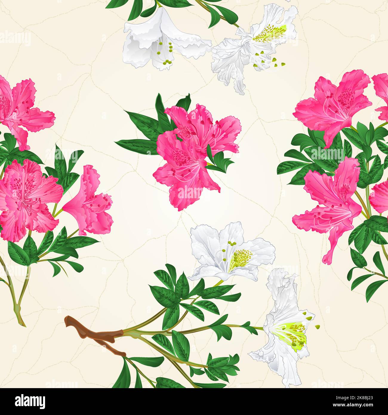 Seamless texture White and pink rhododendron branch  vintage vector Stock Vector