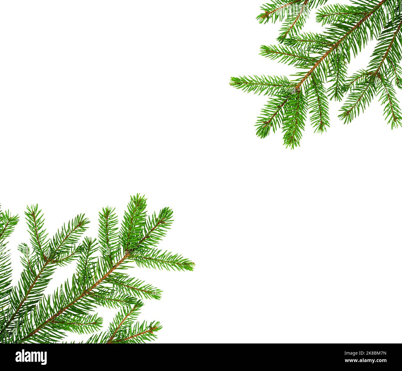 Frame made of spruce branches. Christmas tree isolated on white ...
