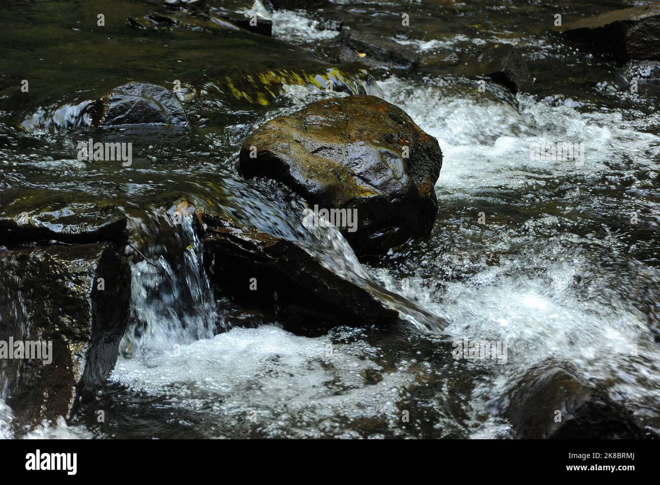Melincourt Brook just below Melincourt Falls. Stock Photo