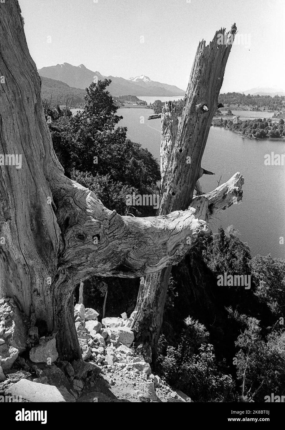 Lago Lolog, Lolog lake, near San Martín de los Andes, Neuquén province