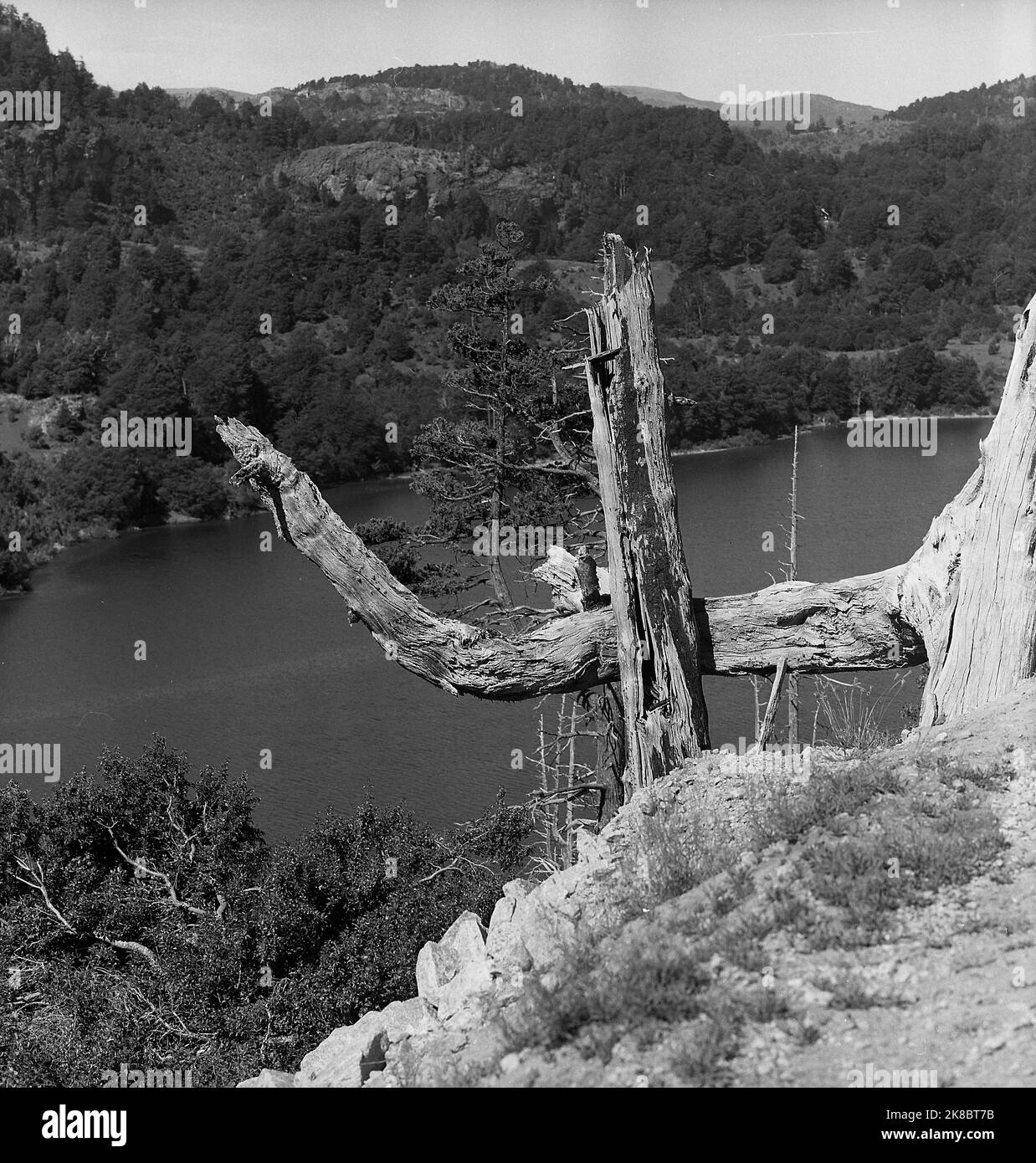 Lago Lolog, Lolog lake, near San Martín de los Andes, Neuquén province