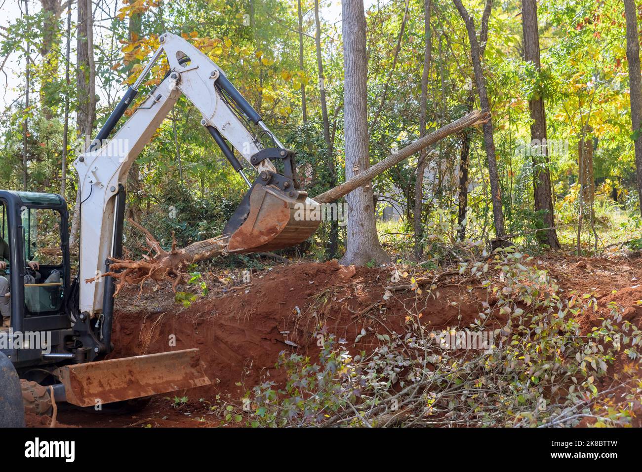 Trees that fell in street because of hurricane uprooted trees close to home with tractor had to