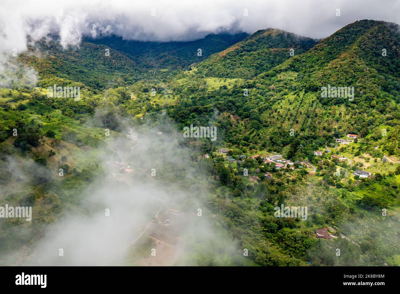 Cloud forest boquete hi-res stock photography and images - Page 2 - Alamy