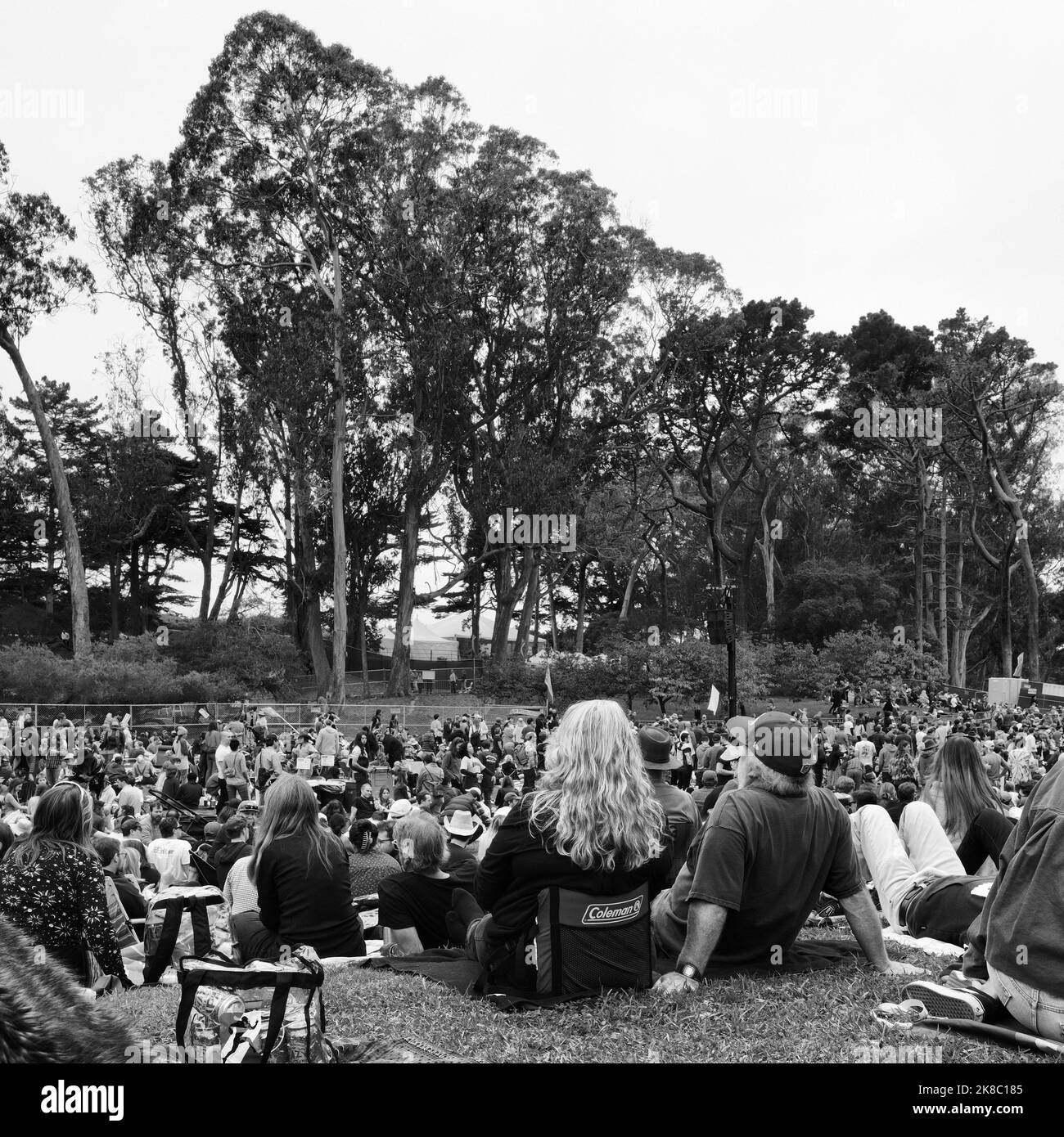 Crowd at the Hardly Strictly Bluegrass music festival at Golden Gate