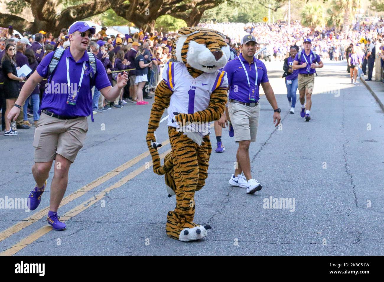 Baton Rouge, LA, USA. 22nd Oct, 2022. LSU's mascot, Mike the Tiger, runs down Victory Hill prior to NCAA football game action between the Ole Miss Rebels and the LSU Tigers at Tiger Stadium in Baton Rouge, LA. Jonathan Mailhes/CSM/Alamy Live News Stock Photo