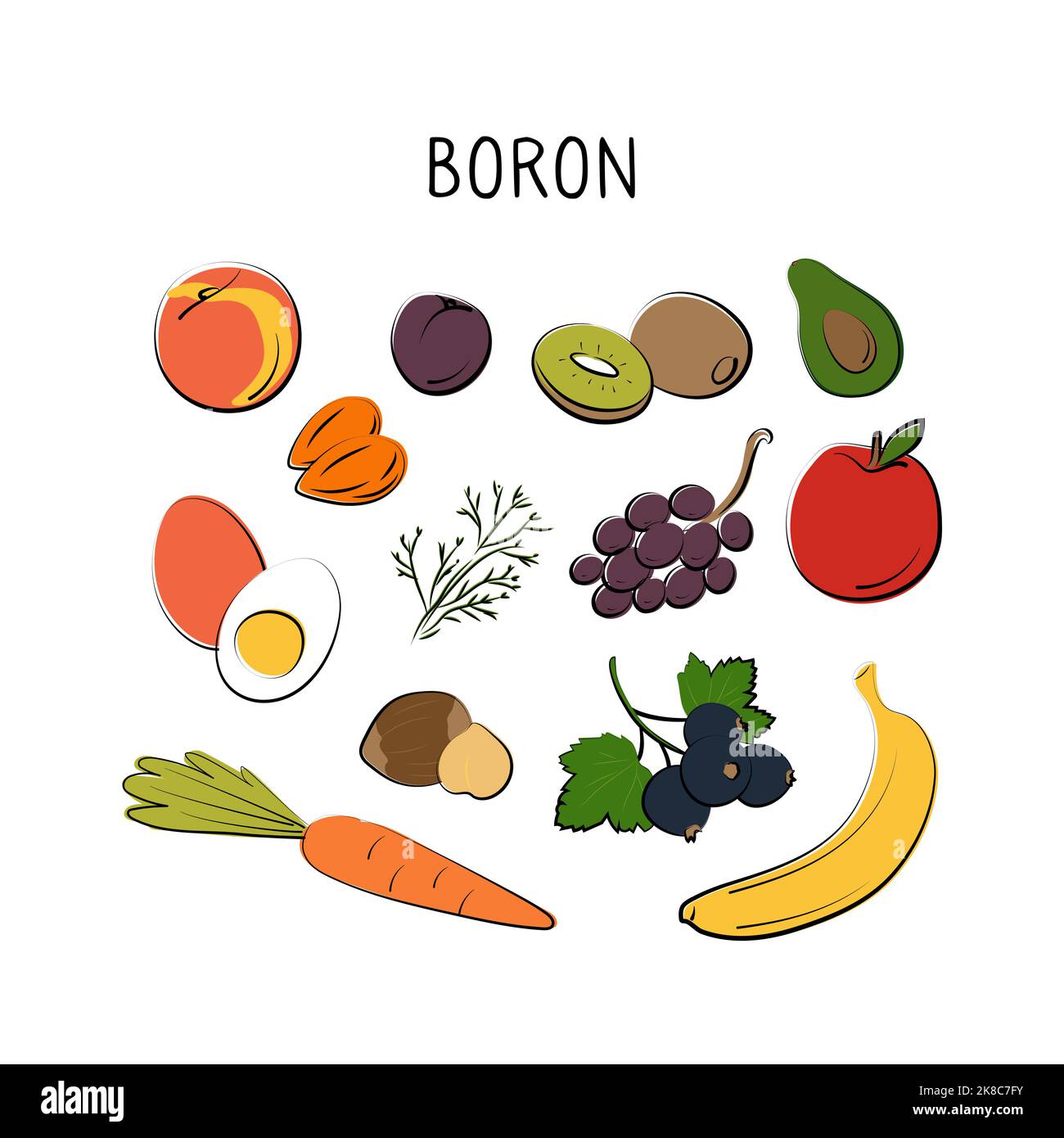 Boroncontaining food. Groups of healthy products containing vitamins