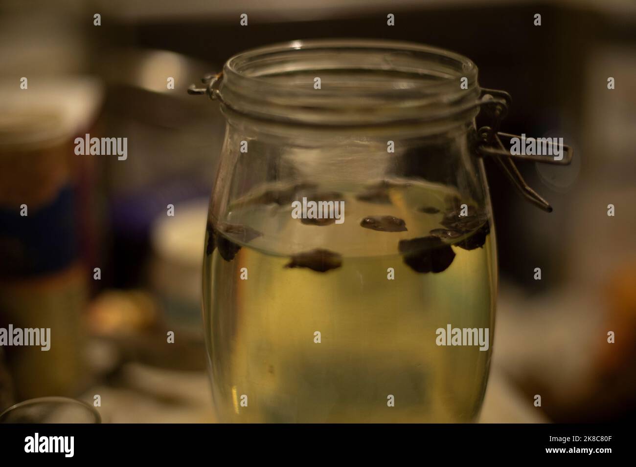 Alcohol in jar. Alcoholic infusion. Nuts float in water. Beverage