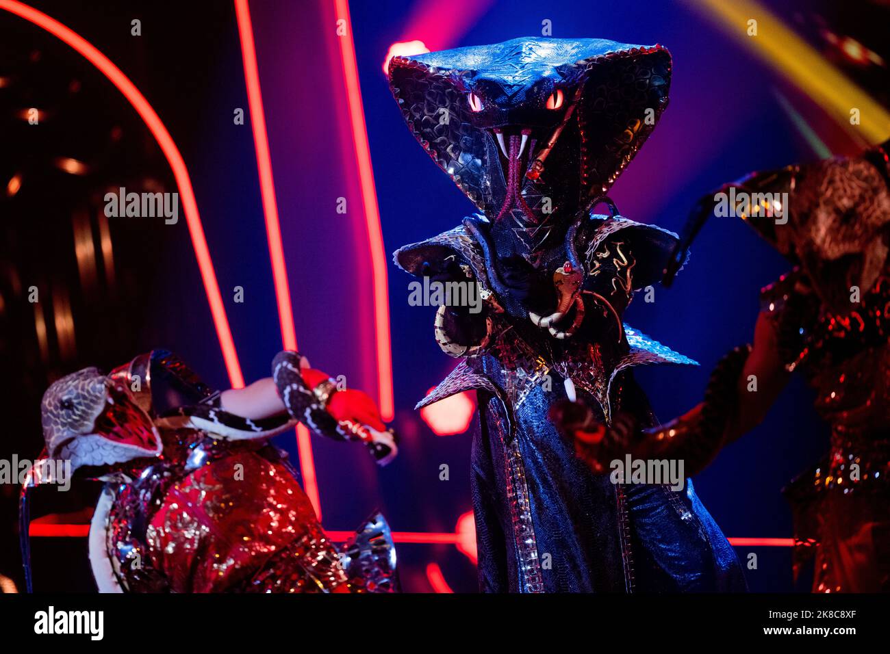 The black mamba singer hi-res stock photography and images - Alamy