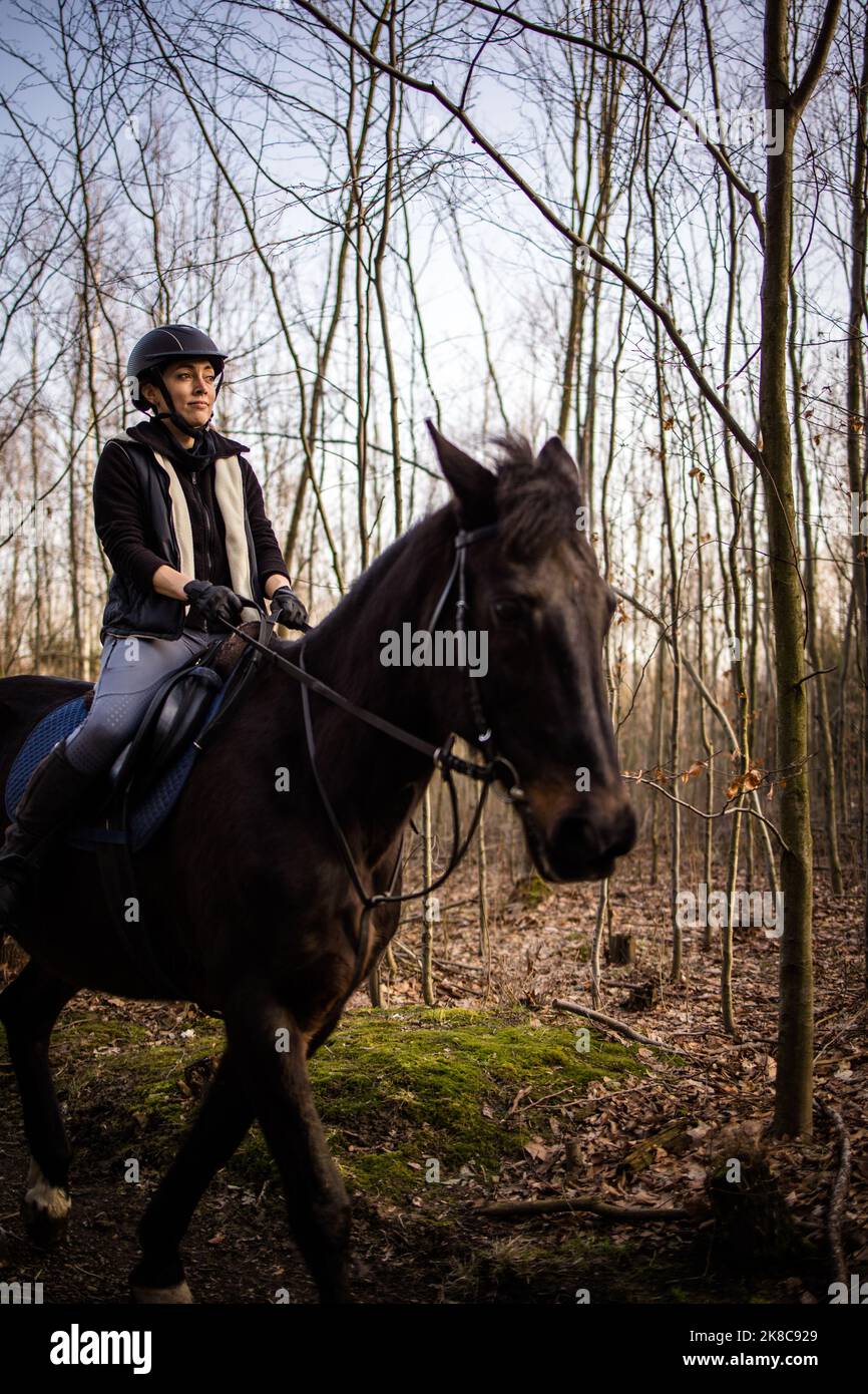 Female horse rider riding outdoors on her lovely horse Stock Photo - Alamy