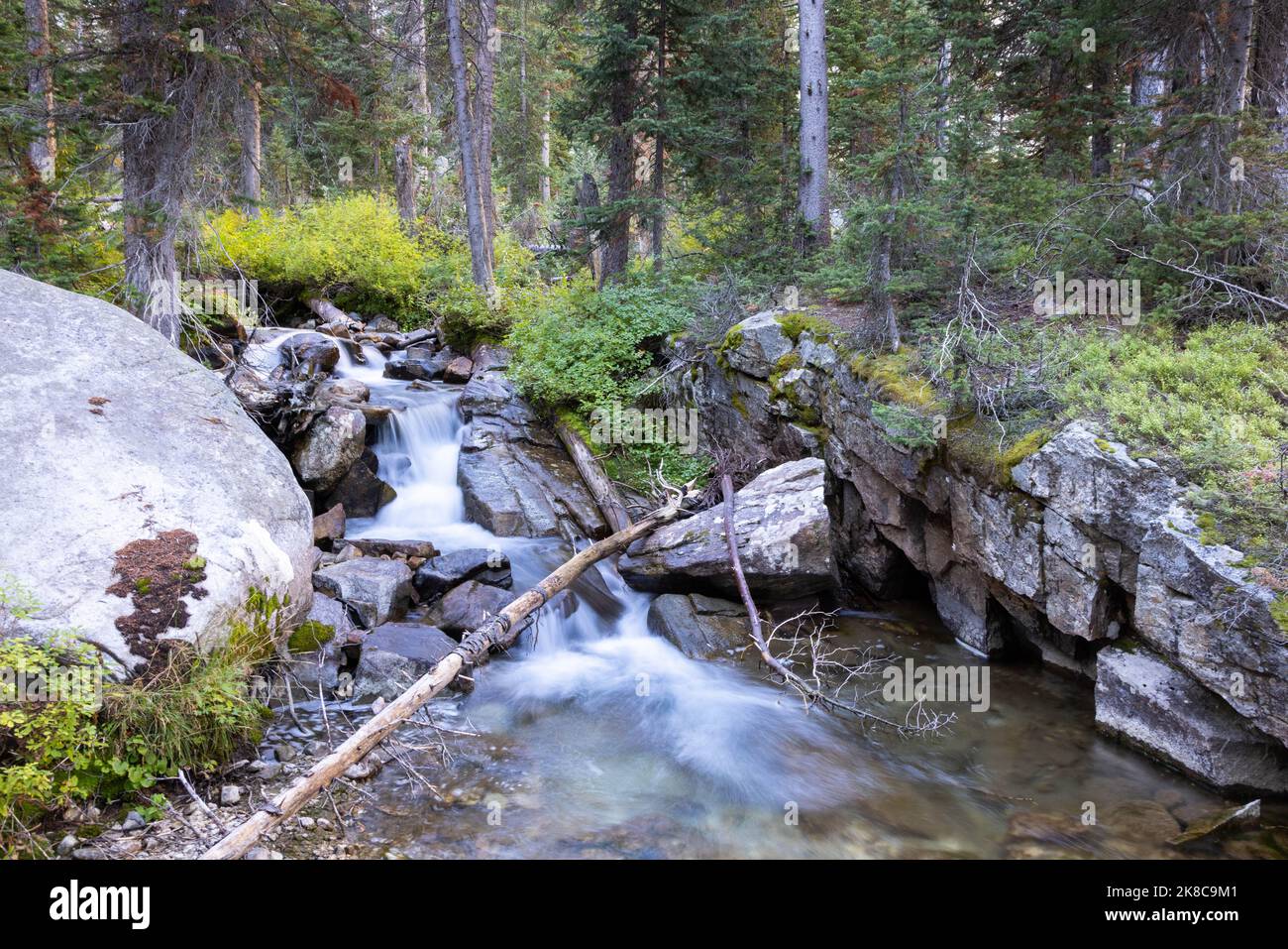 A small cascading waterfall pouring over rocks through a forest in the ...