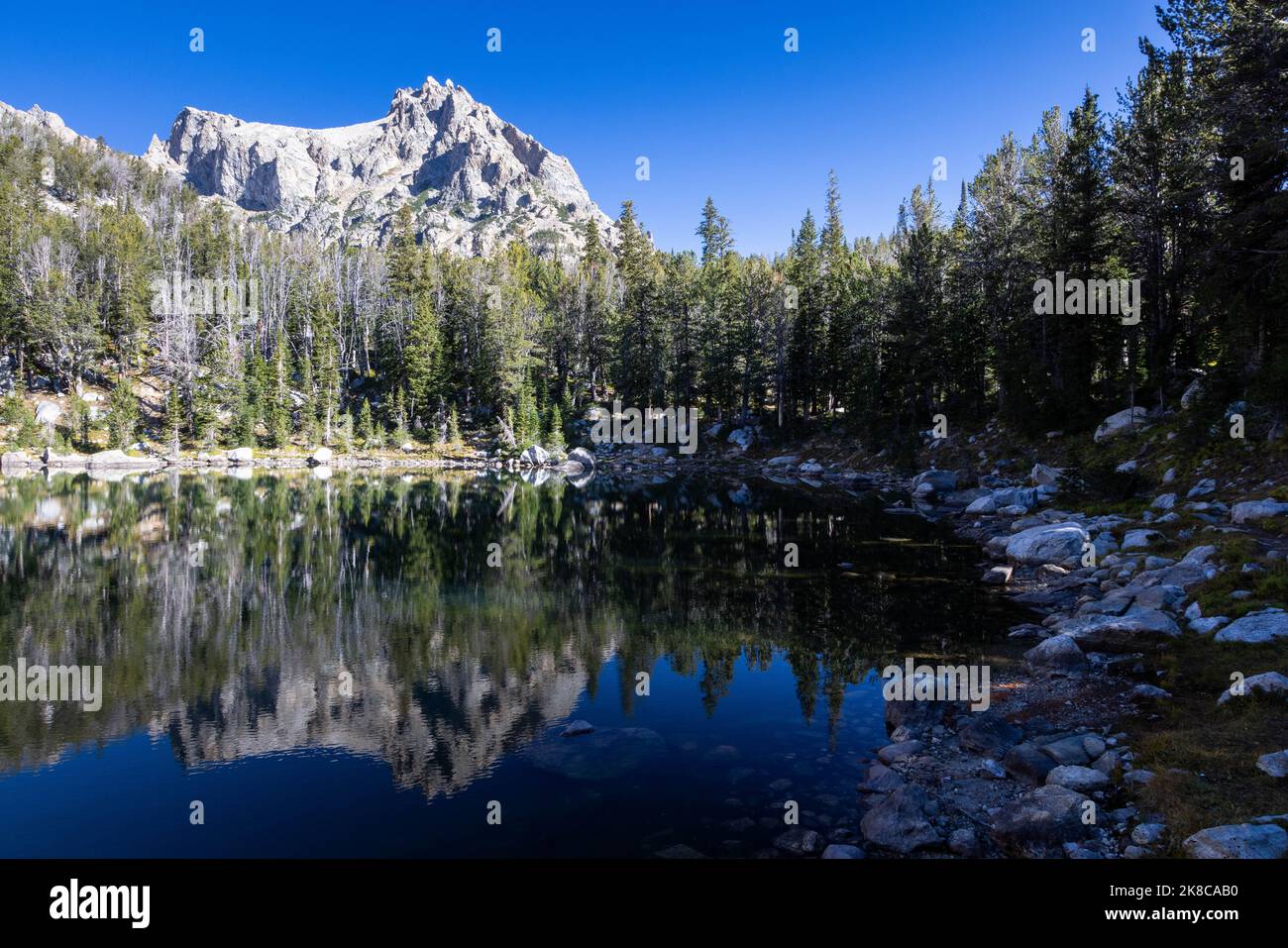 Teewinot reflected in the calm waters of Surprise Lake in the Teton Mountains. Grand Teton National Park, Wyoming Stock Photo