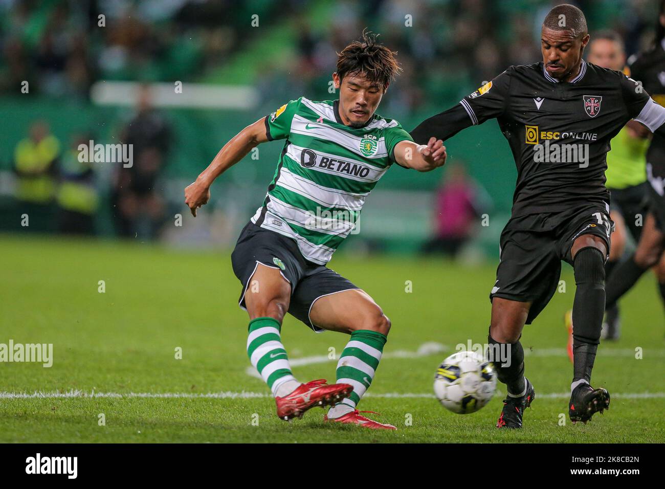 Lisbon, 10/22/2022 Sporting Clube de Portugal hosted Casa Pia Atlético Clube tonight at