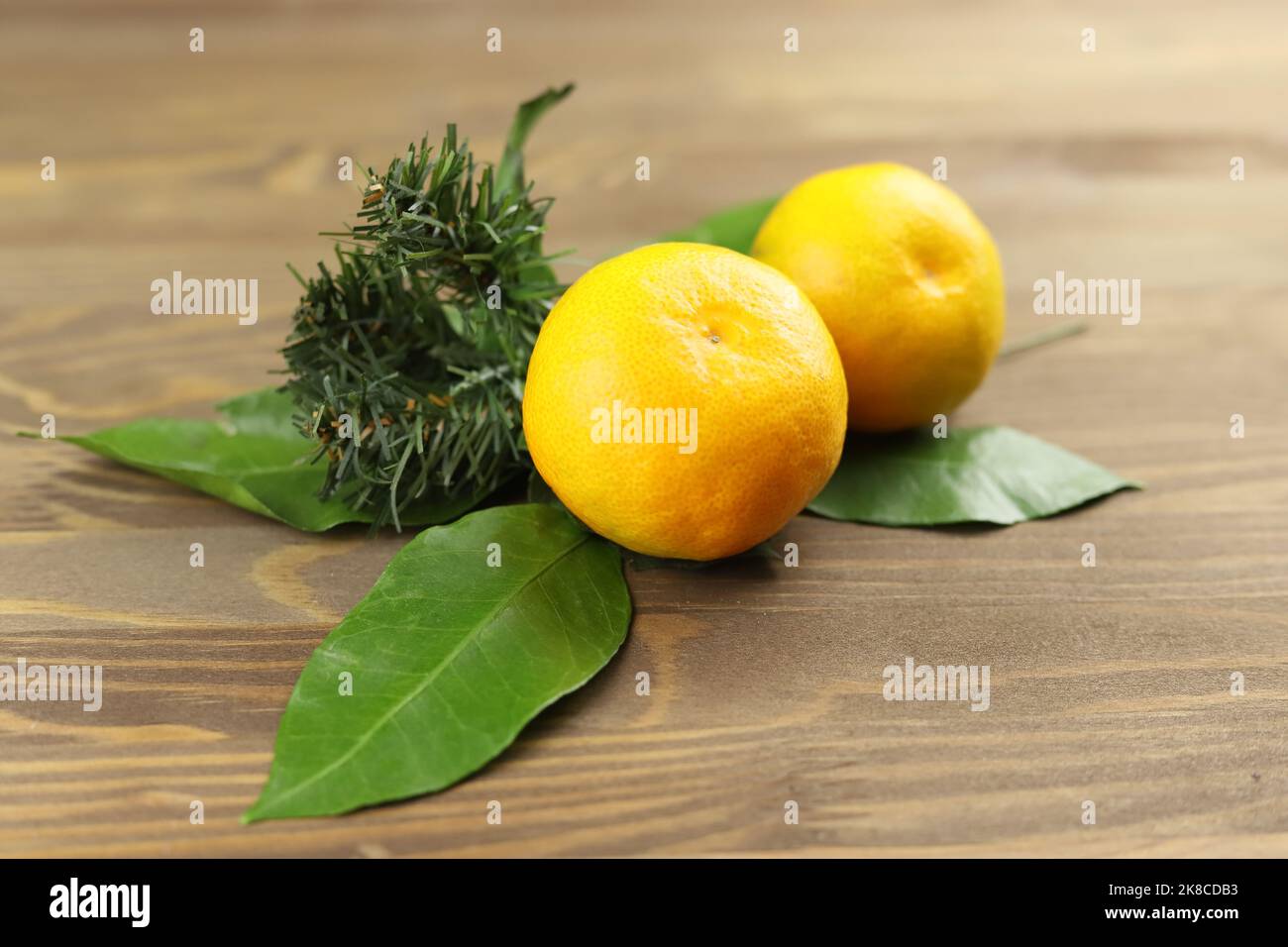 Christmas design of two whole mandarin or tangerine fruits, green leaves, fir tree on wooden background Stock Photo