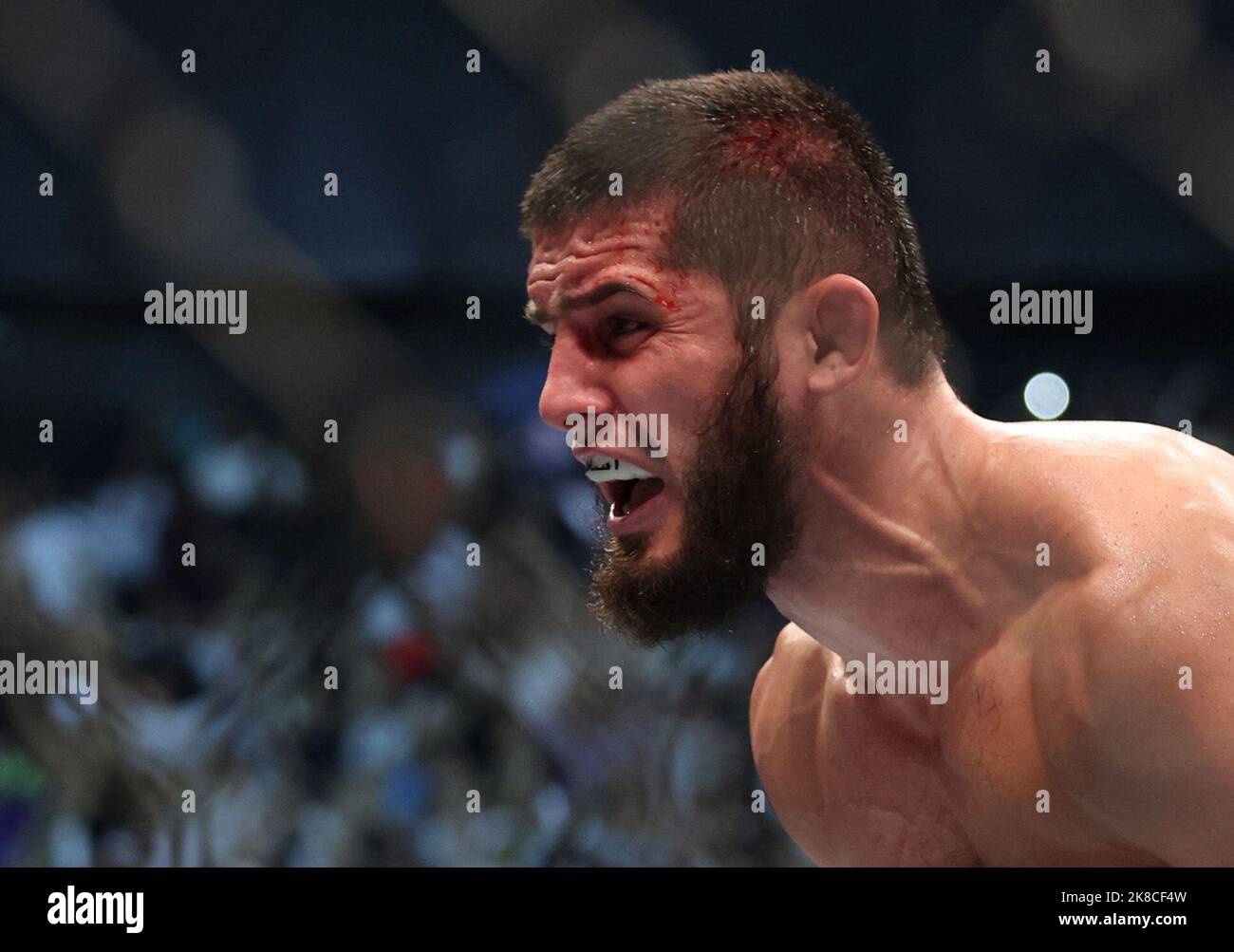 Mixed Martial Arts UFC 280 Etihad Arena, Abu Dhabi, United Arab