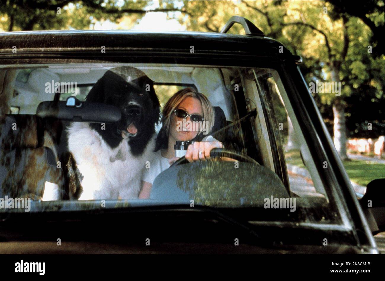 Meg Ryan,St Bernard Dog Film: Hanging Up (2000) Characters: Eve Mozell Marks,  Director: Diane Keaton 16 February 2000   **WARNING** This Photograph is for editorial use only and is the copyright of COLUMBIA PICTURES and/or the Photographer assigned by the Film or Production Company and can only be reproduced by publications in conjunction with the promotion of the above Film. A Mandatory Credit To COLUMBIA PICTURES is required. The Photographer should also be credited when known. No commercial use can be granted without written authority from the Film Company. Stock Photo