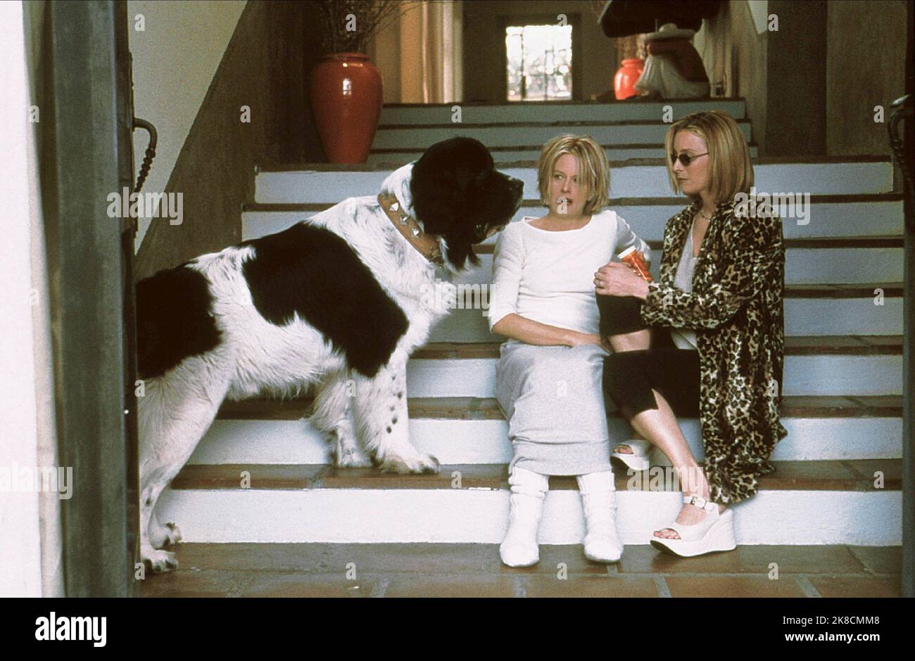 Meg Ryan, Lisa Kudrow & St Bernard Dog Film: Hanging Up (2000) Characters: Eve Mozell Marks,Maddy Mozell &  Director: Diane Keaton 16 February 2000   **WARNING** This Photograph is for editorial use only and is the copyright of COLUMBIA PICTURES and/or the Photographer assigned by the Film or Production Company and can only be reproduced by publications in conjunction with the promotion of the above Film. A Mandatory Credit To COLUMBIA PICTURES is required. The Photographer should also be credited when known. No commercial use can be granted without written authority from the Film Company. Stock Photo