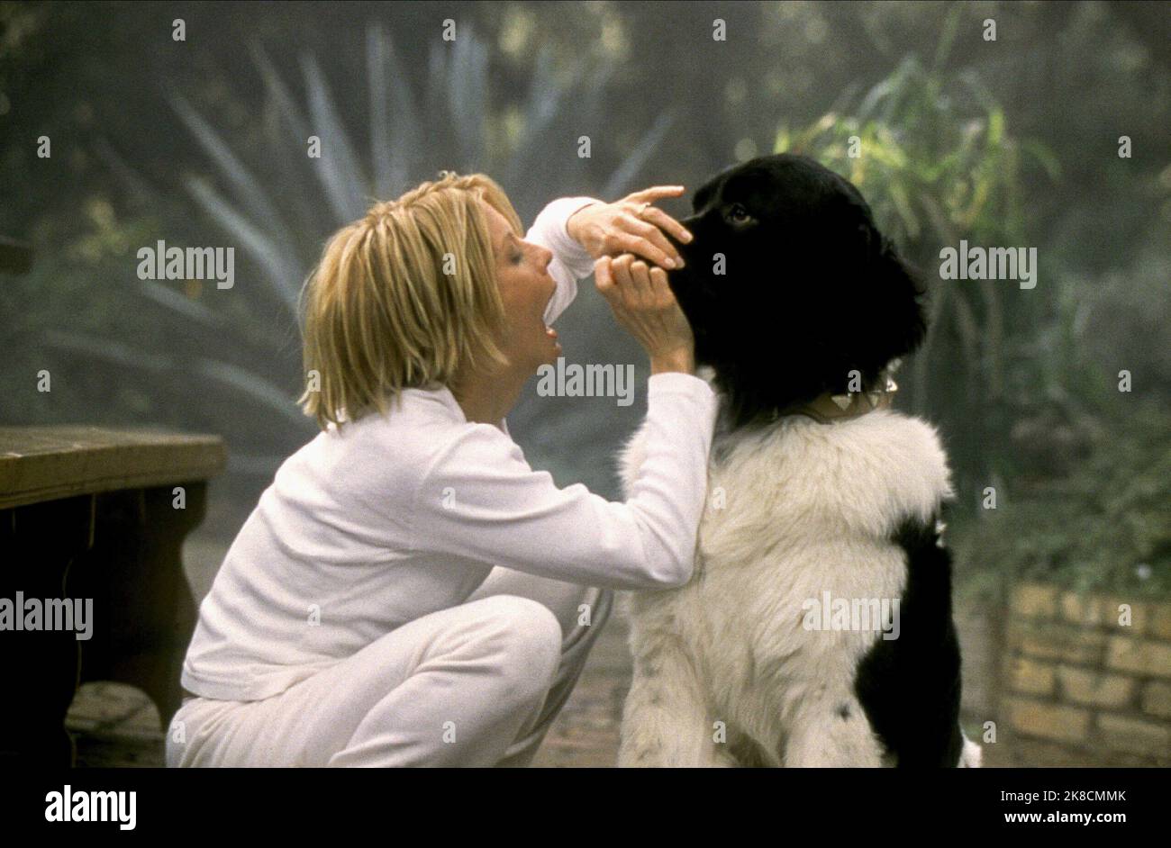 Meg Ryan & Dog Film: Hanging Up (2000) Characters: Eve Mozell Marks &  Director: Diane Keaton 16 February 2000   **WARNING** This Photograph is for editorial use only and is the copyright of COLUMBIA PICTURES and/or the Photographer assigned by the Film or Production Company and can only be reproduced by publications in conjunction with the promotion of the above Film. A Mandatory Credit To COLUMBIA PICTURES is required. The Photographer should also be credited when known. No commercial use can be granted without written authority from the Film Company. Stock Photo