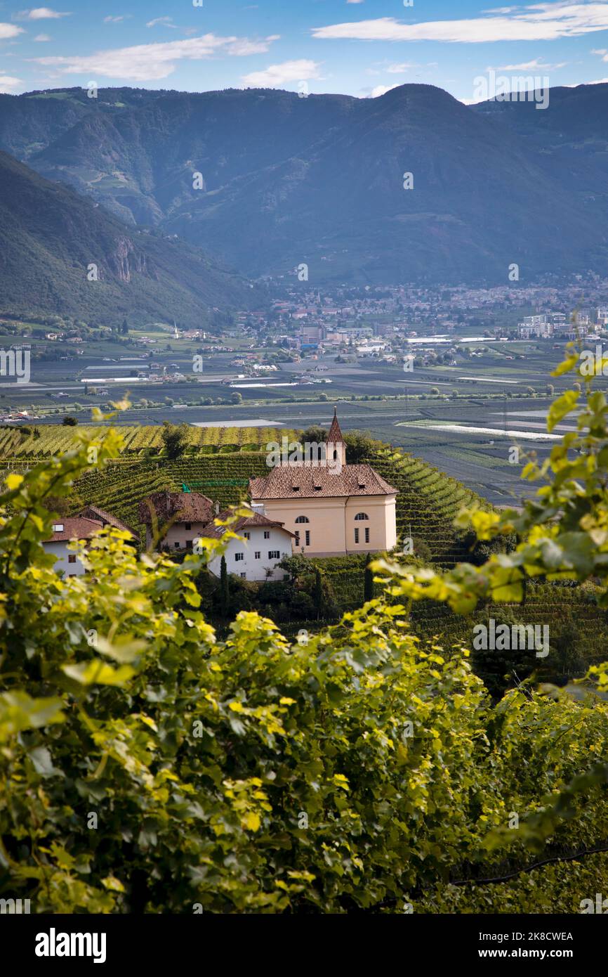 Vineyards and wineries surround Bolzano in the Dolomites of northern Italy. Stock Photo