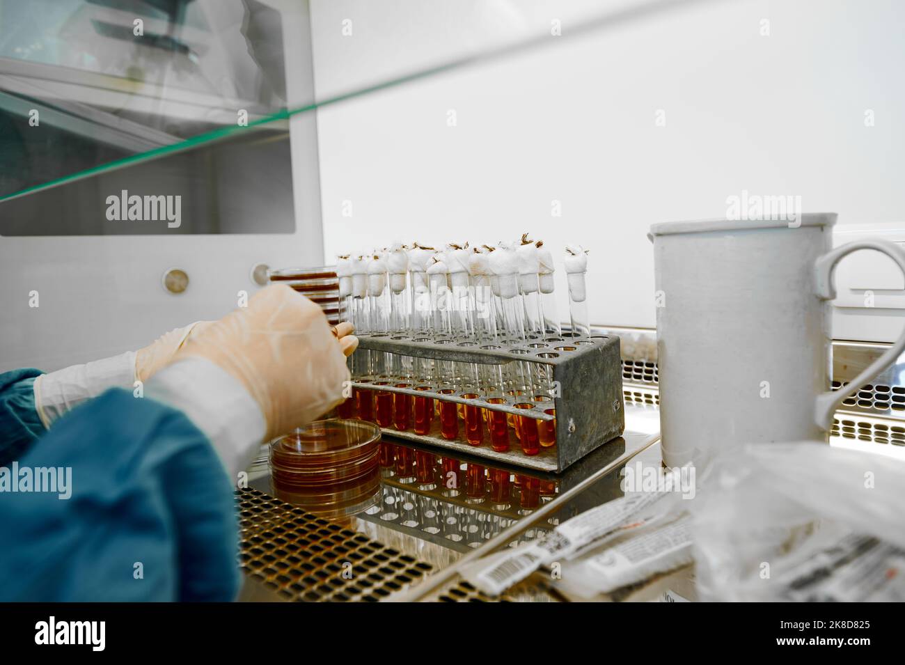Laboratorian Laboratorian investigates sample in Petri dish at test tubes Stock ...