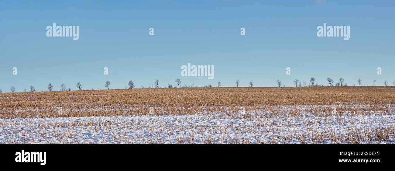 Wintertime - countryside in Denmark. Winter landscape on a sunny day with blue sky. Stock Photo