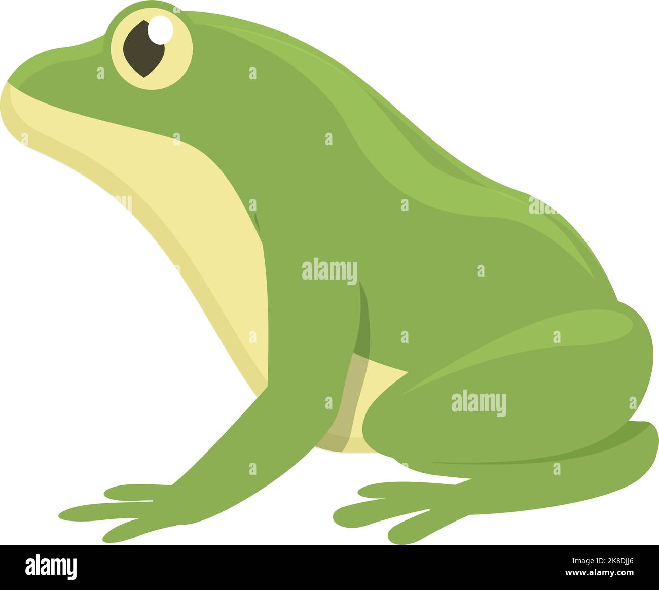 Aquatic frog icon cartoon vector. Animal jump. Green character Stock ...